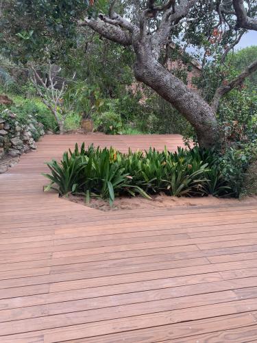 DECKING - INCORPORATING THE TREES 3